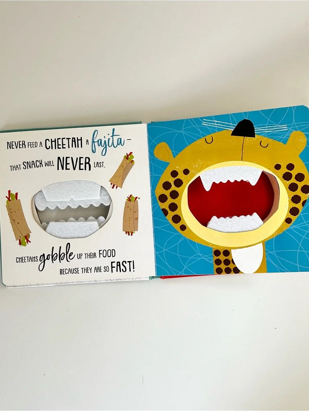 My First Playtime Treasury - Never Touch A Dinosaur Collection